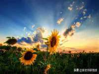 南京昱睿止商贸有限公司