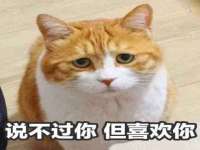 南京昱睿止商贸有限公司