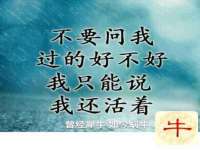 南京昱睿止商贸有限公司