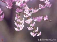 南京昱睿止商贸有限公司