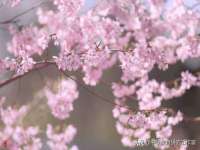 南京昱睿止商贸有限公司
