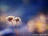 南京昱睿止商贸有限公司