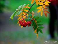 南京昱睿止商贸有限公司