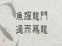 南京昱睿止商贸有限公司