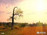 南京昱睿止商贸有限公司