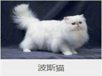 南京昱睿止商贸有限公司