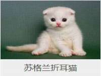 南京昱睿止商贸有限公司