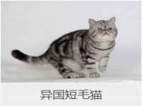 南京昱睿止商贸有限公司