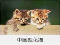 南京昱睿止商贸有限公司