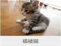 南京昱睿止商贸有限公司
