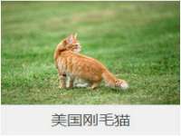 南京昱睿止商贸有限公司