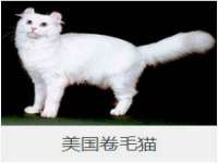南京昱睿止商贸有限公司