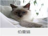 南京昱睿止商贸有限公司