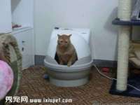 南京昱睿止商贸有限公司