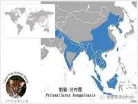 南京昱睿止商贸有限公司