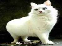 南京昱睿止商贸有限公司