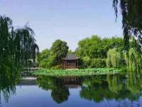 南京昱睿止商贸有限公司