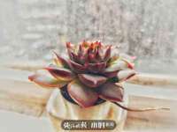 南京昱睿止商贸有限公司