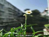 南京昱睿止商贸有限公司