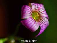 南京昱睿止商贸有限公司