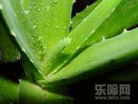 南京昱睿止商贸有限公司