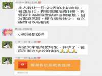 南京昱睿止商贸有限公司