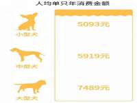 南京昱睿止商贸有限公司