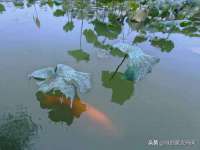南京昱睿止商贸有限公司