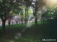 南京昱睿止商贸有限公司