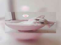 南京昱睿止商贸有限公司