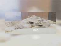 南京昱睿止商贸有限公司