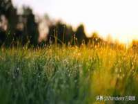 南京昱睿止商贸有限公司