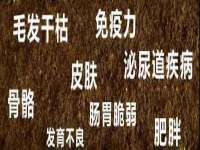 南京昱睿止商贸有限公司