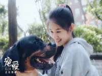 南京昱睿止商贸有限公司