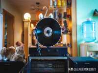 南京昱睿止商贸有限公司