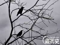 南京昱睿止商贸有限公司