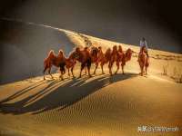 南京昱睿止商贸有限公司