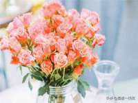 南京昱睿止商贸有限公司