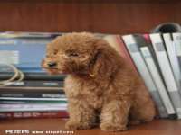南京昱睿止商贸有限公司