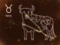 南京昱睿止商贸有限公司