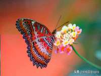 南京昱睿止商贸有限公司