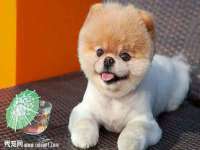 南京昱睿止商贸有限公司