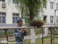 南京昱睿止商贸有限公司
