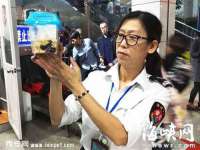 南京昱睿止商贸有限公司