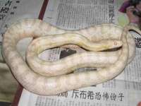 南京昱睿止商贸有限公司