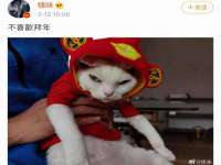 南京昱睿止商贸有限公司