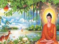 南京昱睿止商贸有限公司