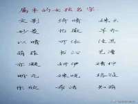 南京昱睿止商贸有限公司